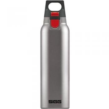 SIGG Hot & Cold One Brushed 0,3 Liter Thermosflasche