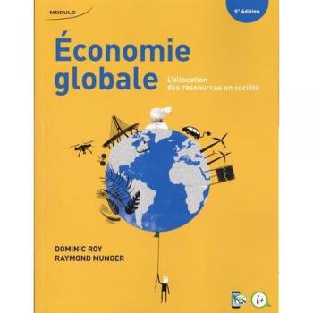 Economie globale. l'allocation des ressources en societe