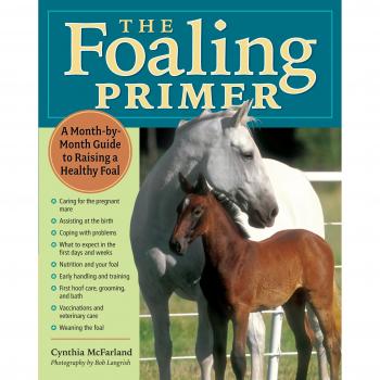 Foaling Primer: A Step-By-Step Guide to Raising a Healthy Foal