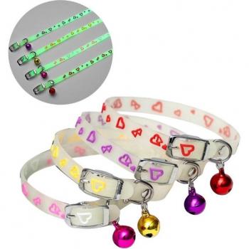 Accessoire lumineux pour animaux de compagnie