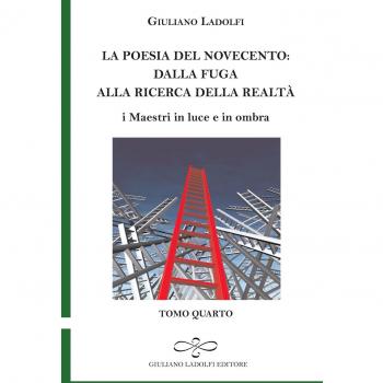 La poesia del Novecento. Dalla fuga alla ricerca della parola. I maestri in luce e in ombra