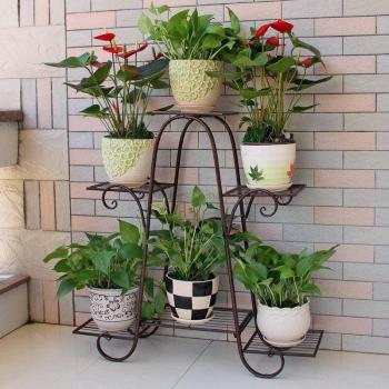 Exhibidor de Planta de Salón