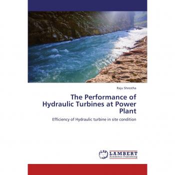 The Performance of Hydraulic Turbines at Power Plant