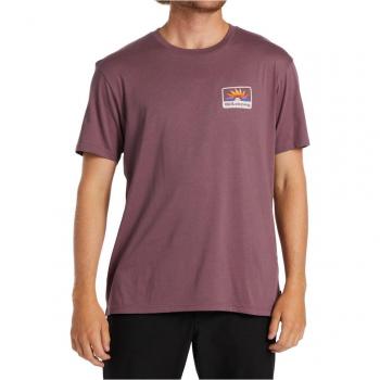 Camiseta de Hombre Billabong Walled