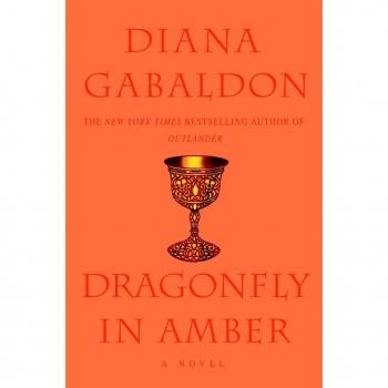 Dragonfly in Amber