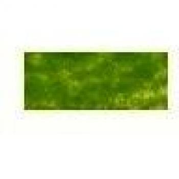 Crayon de teinte Jaune-Vert C450 – Derwent