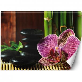 Orquídea Zen con Piedras y Bambú Rosado
