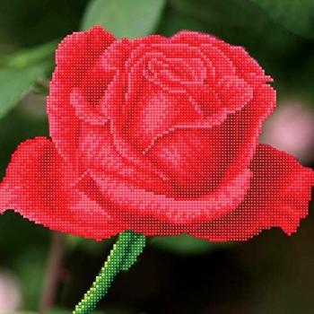 Rosy Bloom Shimmering Diamonds