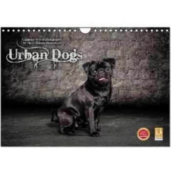 Urban Dogs