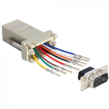 Delock Sub‑D 9 Rj45: Graues Kabelinterface inklusive Stromversorger
