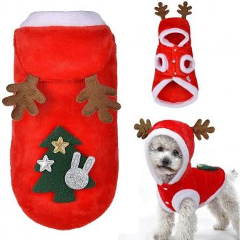 Festive Coat for Chihuahua and Yorkshire Terrier