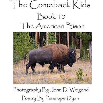 The Comeback Kids--Book 10--The American Bison