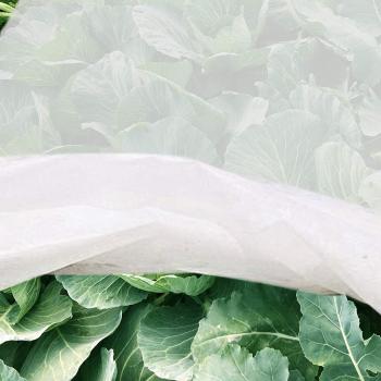 Manteau anti-crue glaciale pour potagers