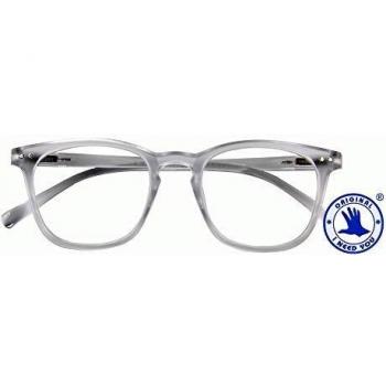 Lunettes de lecture Frozen G7000 Gris Translucide Mixte avec étui et Branches Flexibles