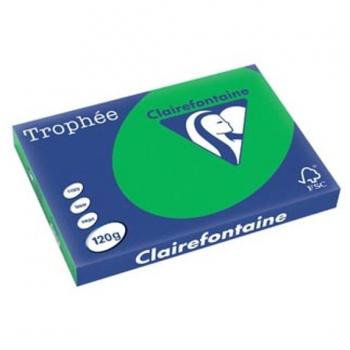 Papier Trophée Intens A3 120g vert billard