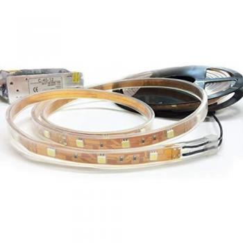 Strips LED 5050 G Involucro Silicone IP67 5 m