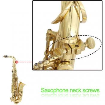 Woodwind Instrument Neck Screw