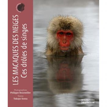 Les Macaques des neiges, ces drôles de singes