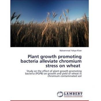 Plant growth promoting bacteria alleviate chromium stress on wheat: Study on the effect of plant growth promoting bacteria