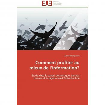 Belguermi, Ahmed: Comment profiter au mieux de l¿information?