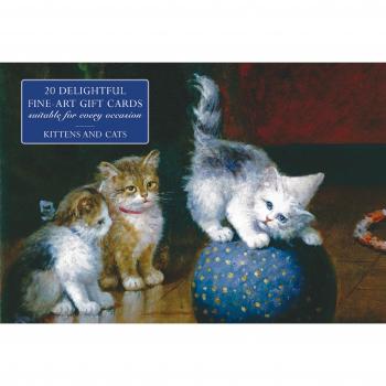 Card Box of 20 Notecards and Envelopes Kittens and Cats by Peony Press