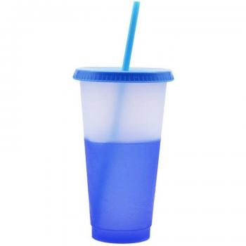 720ml Fashionable Temperature Changing Mug
