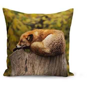 Housse de Coussin 40×40 cm Renard Endormi – Motif Nature Synthétique