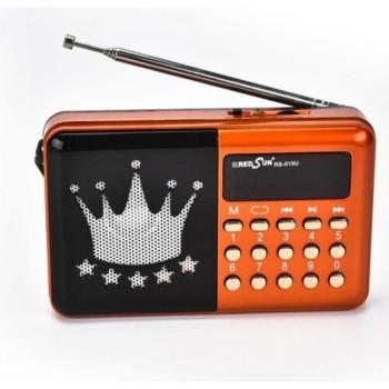 Radio Portatile RS-010U Lettore Musicale con MicroSD, MMC, USB e AUX