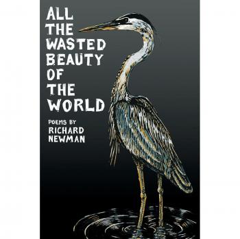All the Wasted Beauty of the World