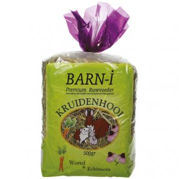 Barn-i
