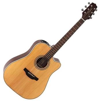 Takamine GD20CE Natural Satin