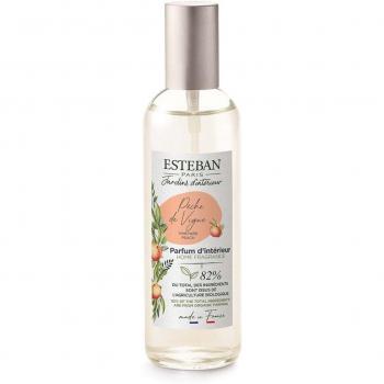 Esteban Paris Vaporizzatore 100ml Fragranza Peche De Vigne