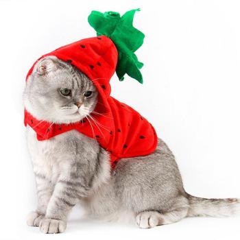 Disfraz de Halloween Legendog: Abrigo Invernal Rojo
