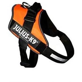 Julius K-9 Power Harness UV Orange 2XL-3
