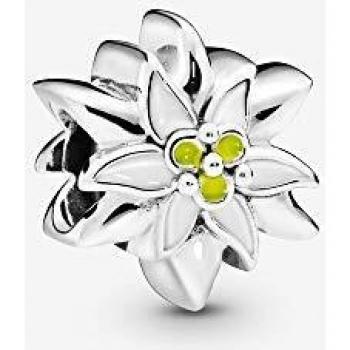 Charm Pandora in Argento Sterling 925