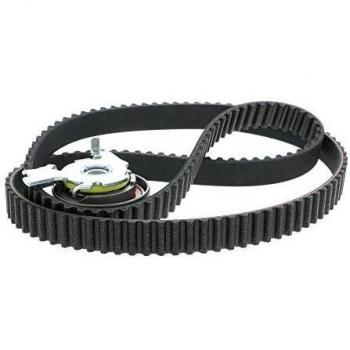 VAICO V40-0631 Ricambio cinghia di distribuzione