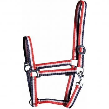 Bola de Caballo Harry's Econo