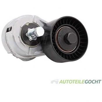 INA 534 0109 20 Braccio tenditore, Cinghia Poly-V