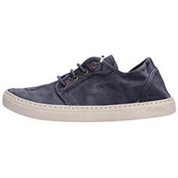 Basse 6602E di Natural World