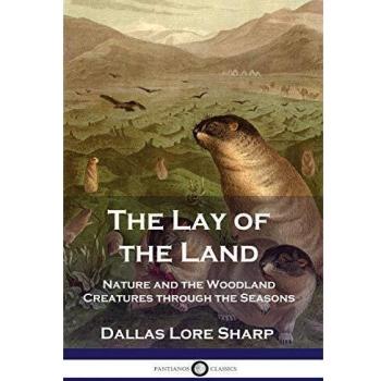 The Lay of the Land: Nature and the Woodland Creatures through the Seasons