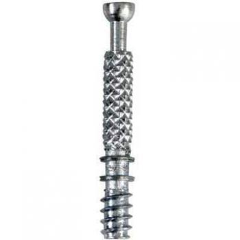 Tornillo Excentrico 35