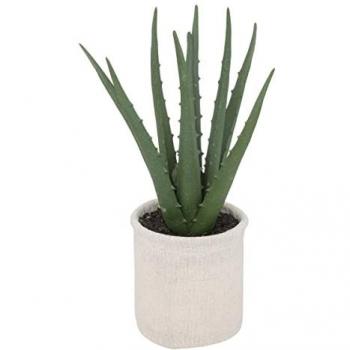 Piante di Aloe Vera Synthetica 29 cm – Atmosphera Casa Design