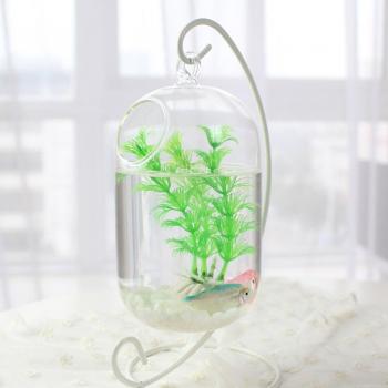 FloraNube Cristal 15 cm