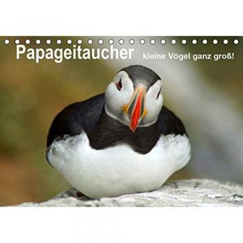 Papageitaucher