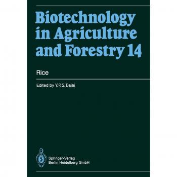 Rice (Biotechnology in Agriculture and Forestry, 14, Band 14)