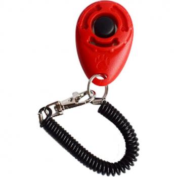 Sangle Pratique pour Éducation Canine