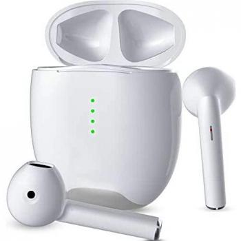 EchoGuard Fast-Charge Earbuds with Microphone