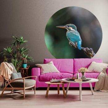 Papel Pared Redondo El Martín Pescador Ø 142,5 cm