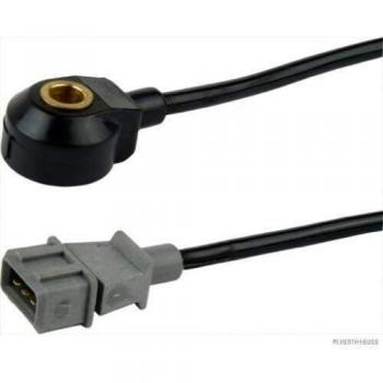 Sensor de Detonação J5677001 HERTH+BUSS