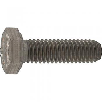 RVS Zeskantbout M10 x 45mm A2